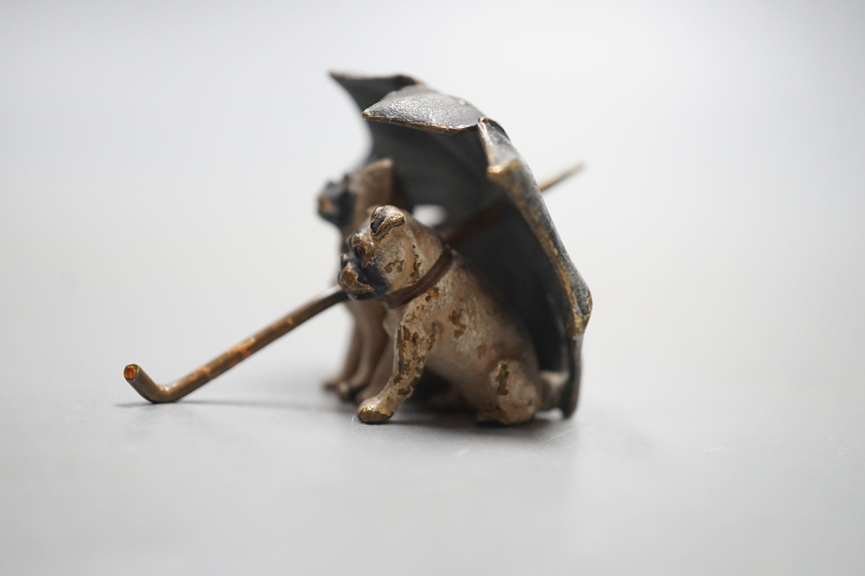A small Austrian cold painted bronze group of two pug dogs under a rugged umbrella, 3cm